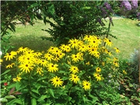 fa14db36-Picture 006.jpg